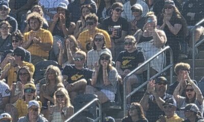 WVU Baseball crowd