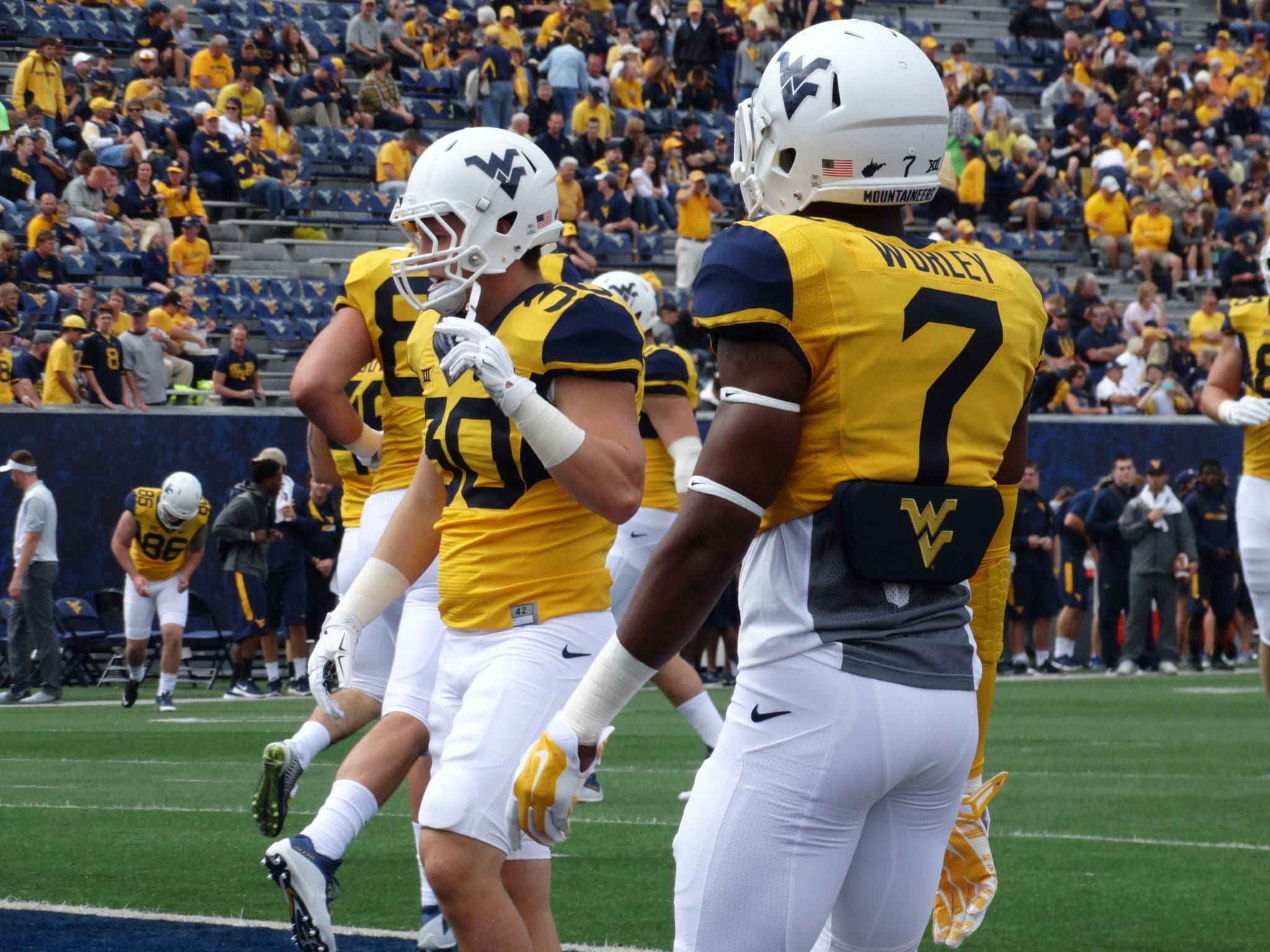 Daryl Worley