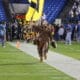 WVU Mascot with flag at Frisco Bowl stock