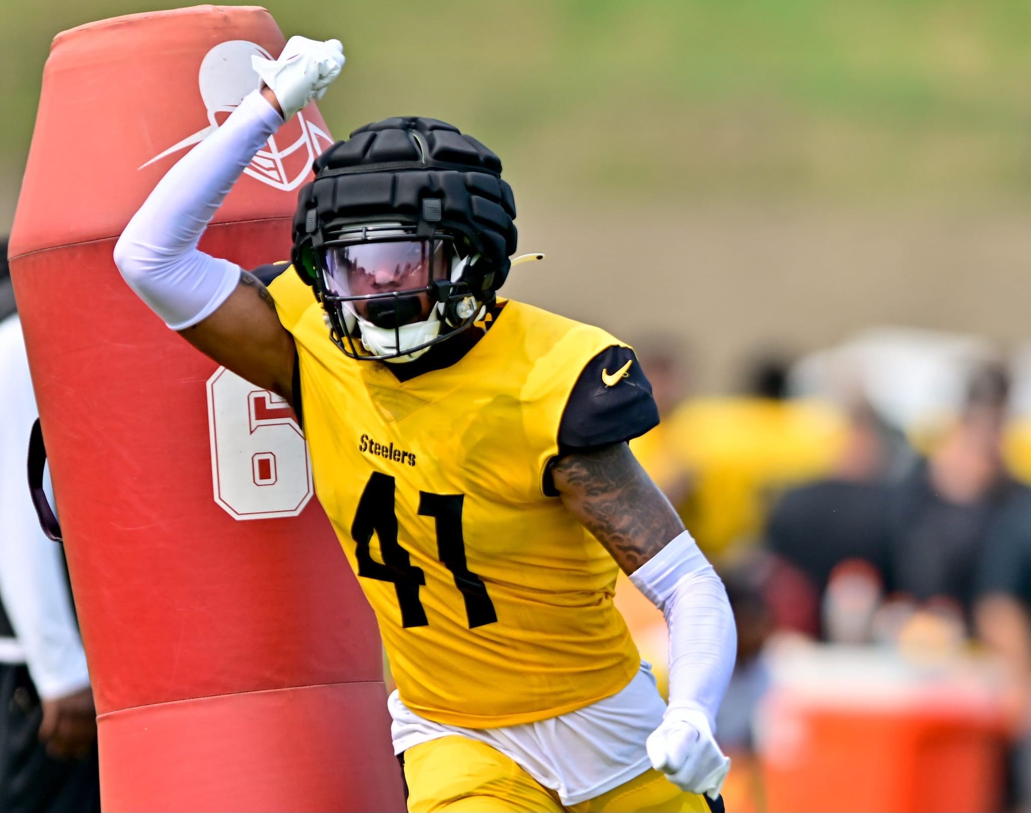 Kenny Robinson Steelers