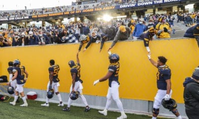 WVU football players and fans