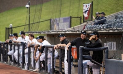 Jedd Gyorko with Black Bears