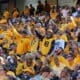 WVU Football Fans crowd shot stock