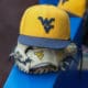 WVU baseball hat and glove stock