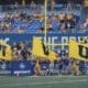 WVU Football flag on field after touchdown stock