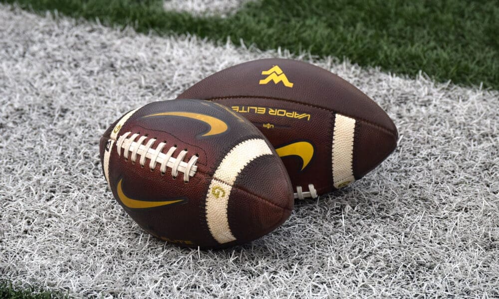 WVU Footballs stock