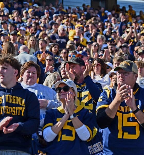 WVU Football fans stock
