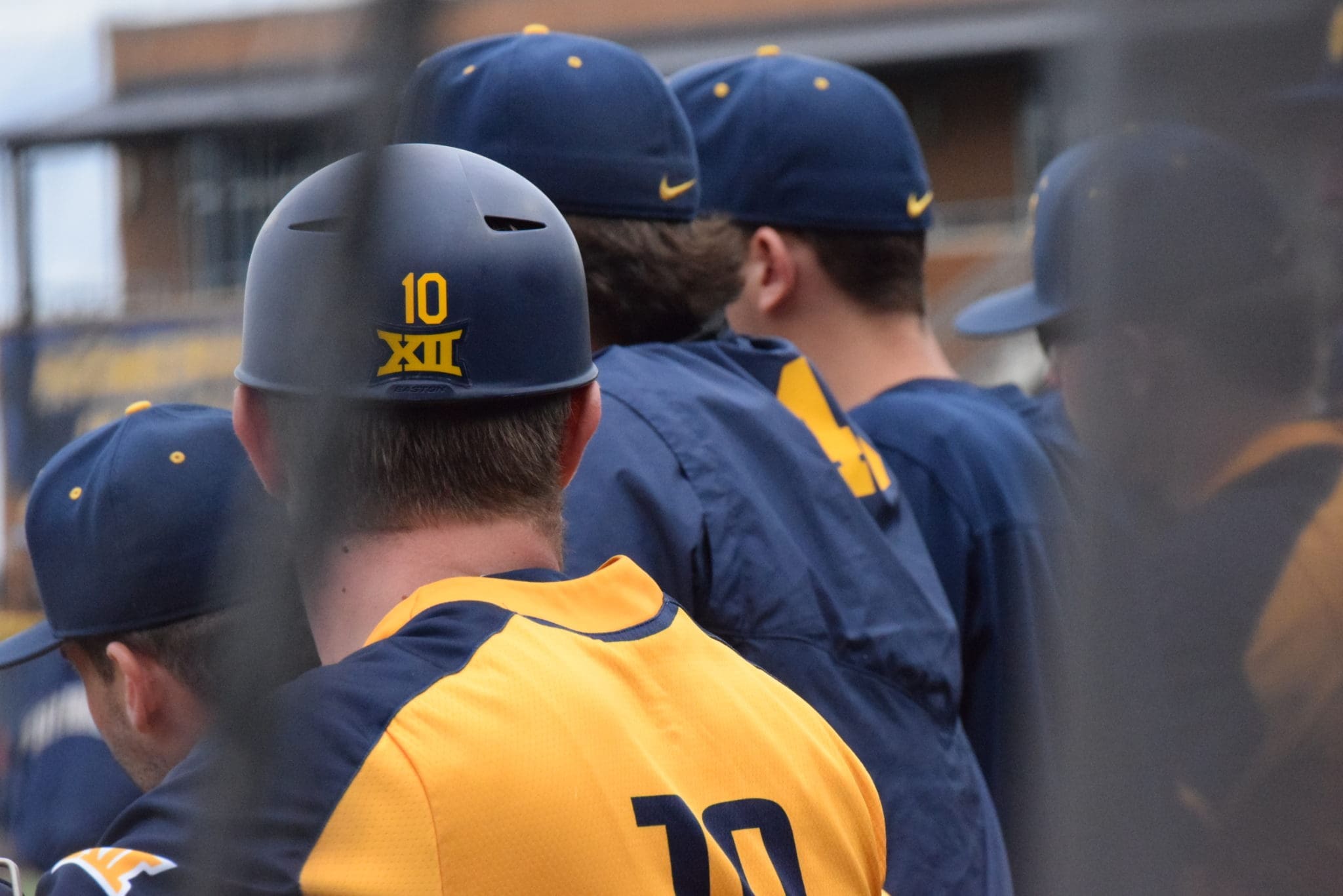 WVU Baseball players in dugout