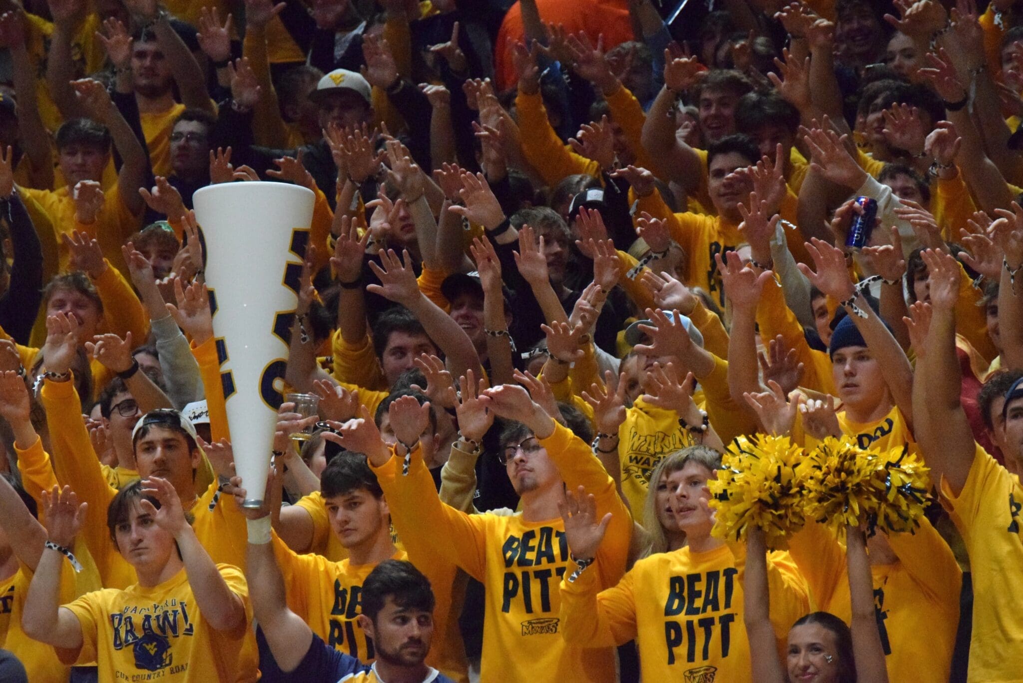 WVU Fans at basketball game