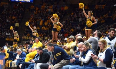 WVU fans and cheerleaders