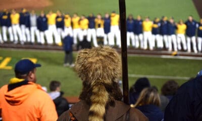 WVU Baseball Mountaineer