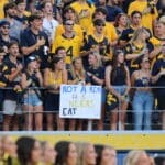 WVU Football fans crowd shot stock