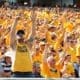 WVU football crowd stock
