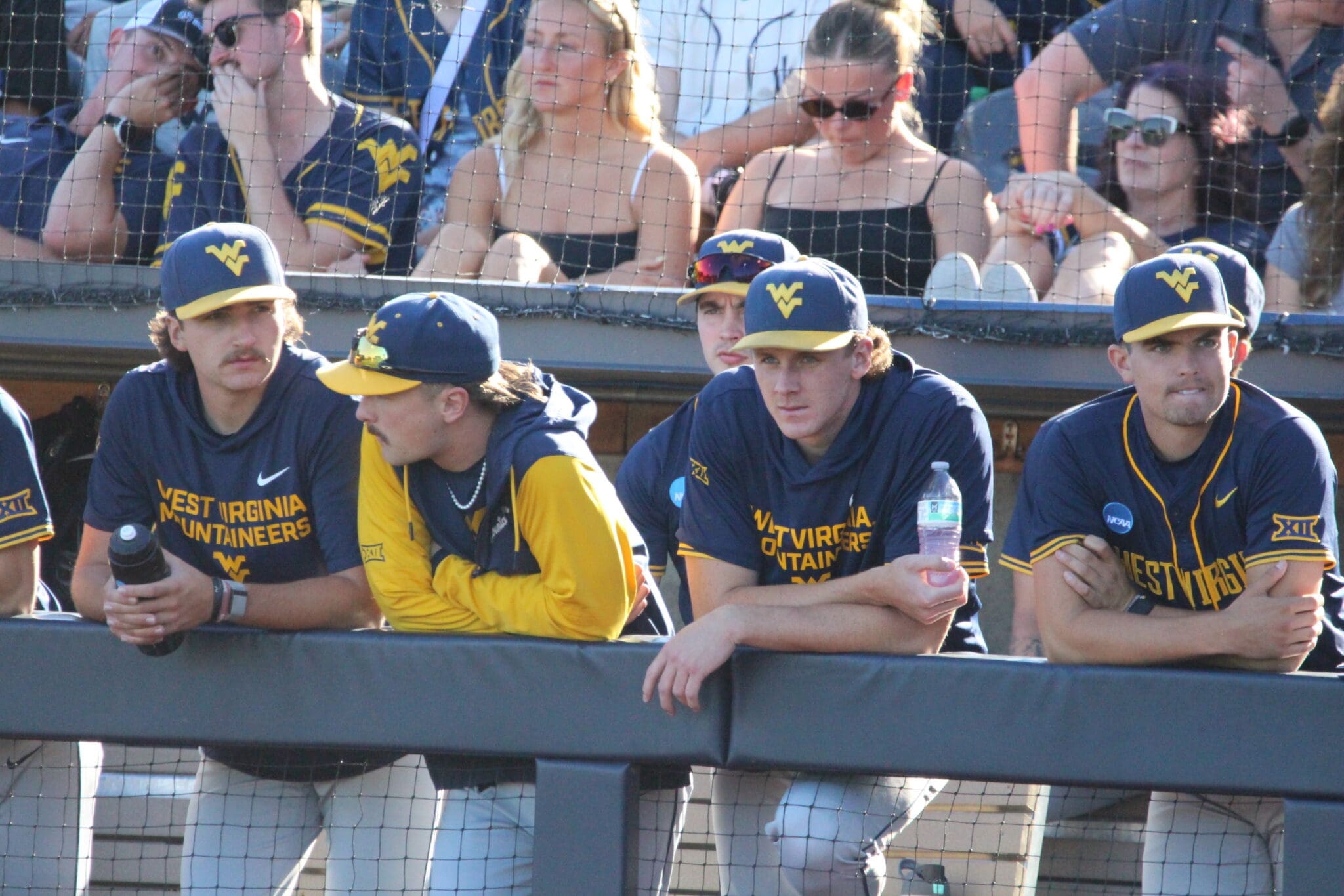 WVU Baseball players in dugout