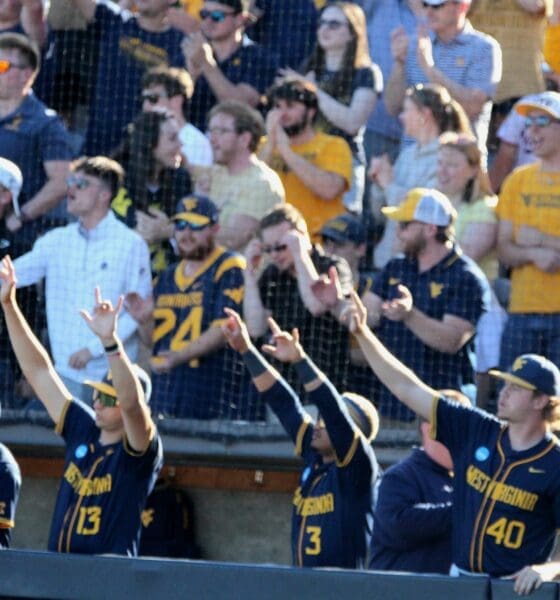 WVU Baseball fans and players