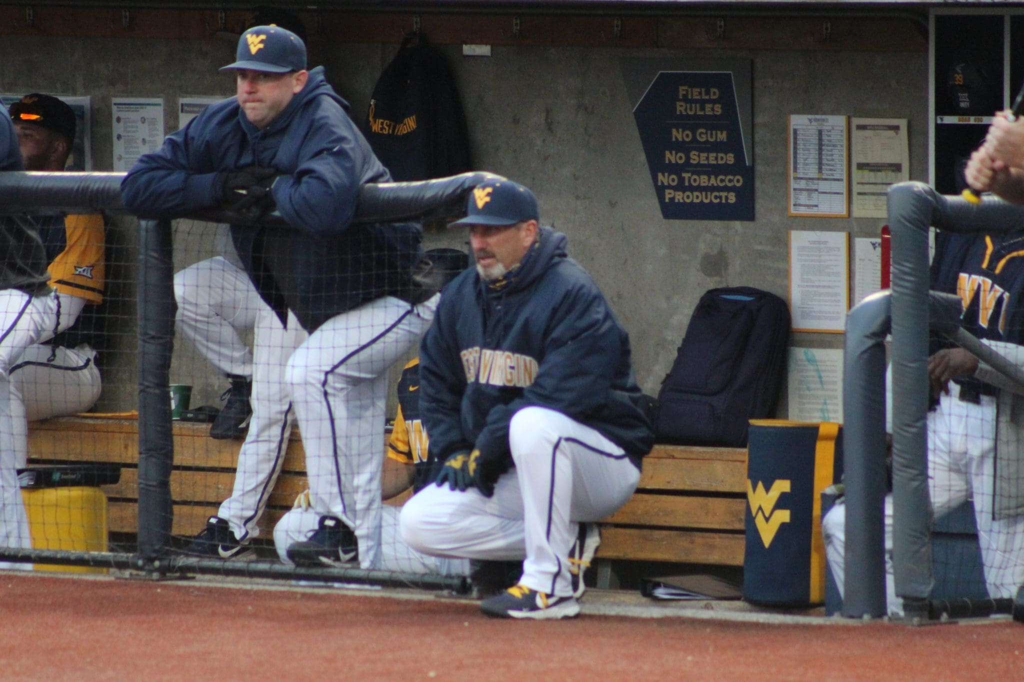 WVU Baseball head coach Randy Mazey watches from the dugout during a game.