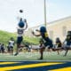WVU Football freshman receiver Armoni Weaver leaps for a catch. WVU Athletics/Taylin Long