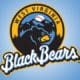 WV Black Bears logo stock