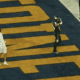 WVU Football Grayson Barnes TD against TCU