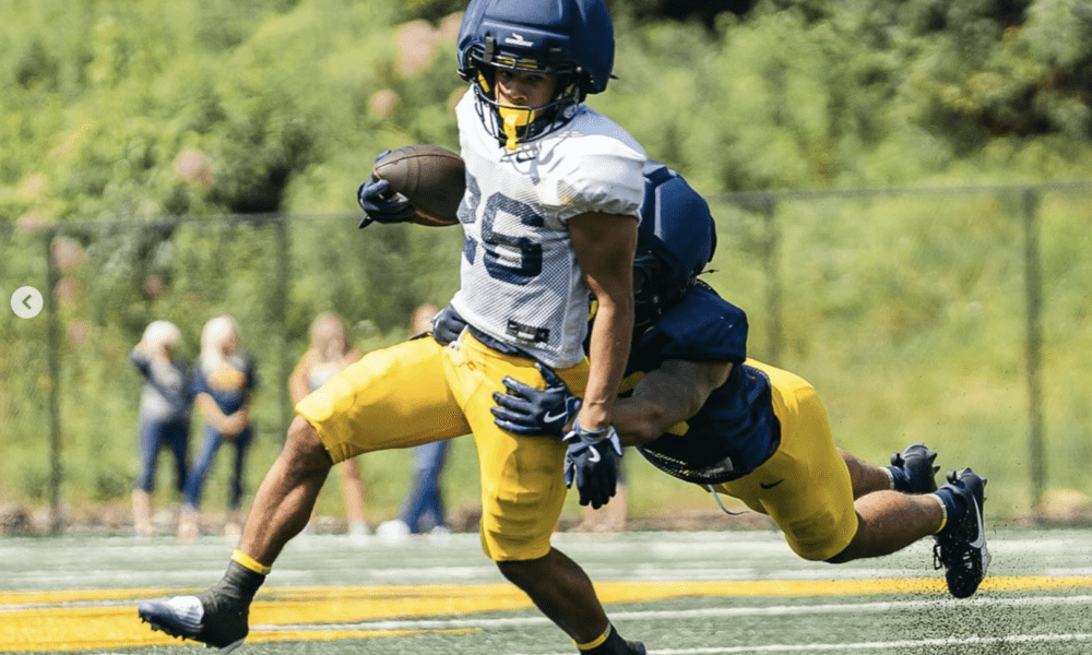 WVU Football RB Andre Devine