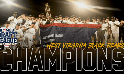 Black Bears champions