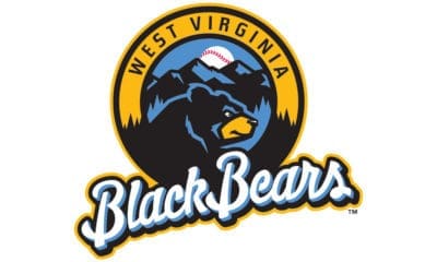 WV Black Bears logo stock
